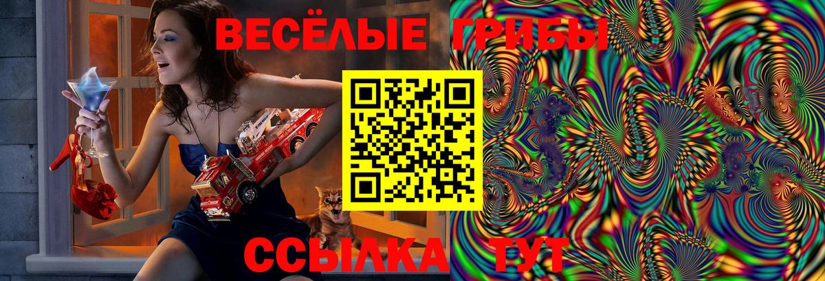 Белорецк  Псилоцибиновые грибы Psilocybine cubensis  Вход с VPN 